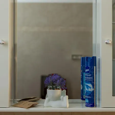 Belvedere Appartamento